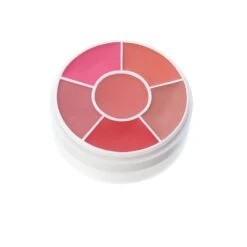 CREME ROUGE WHEEL - X6 BLUSHER COLOURS 7 CREME ROUGE WHEEL - X6 BLUSHER COLOURS -Luxe Beauty ben nye creme rouge wheel x6 blusher colours p3415 19749 image