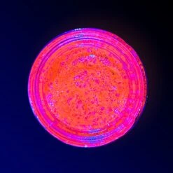 GLOWJAM SHEERS - COSMIC GLITTER CONCENTRATE -Luxe Beauty commandosheerUV