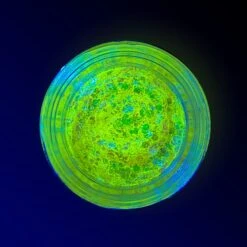 GLOWJAM SHEERS - COSMIC GLITTER CONCENTRATE -Luxe Beauty electricdazesheerUV