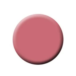 FIXX CREME BLUSH REFILL PANS
