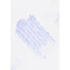 SPACEPASTE - METALLIC GLITTER CONCENTRATE -Luxe Beauty lemonhead la spacepaste metallic glitter concentrate p3961 19669 image