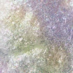 TWIN FLAMES - MULTICHROME PIGMENT 34 TWIN FLAMES - MULTICHROME PIGMENT -Luxe Beauty newever