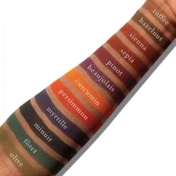 PETITES MATTES DARK PALETTE 12 PETITES MATTES DARK PALETTE -Luxe Beauty petitdark2 012